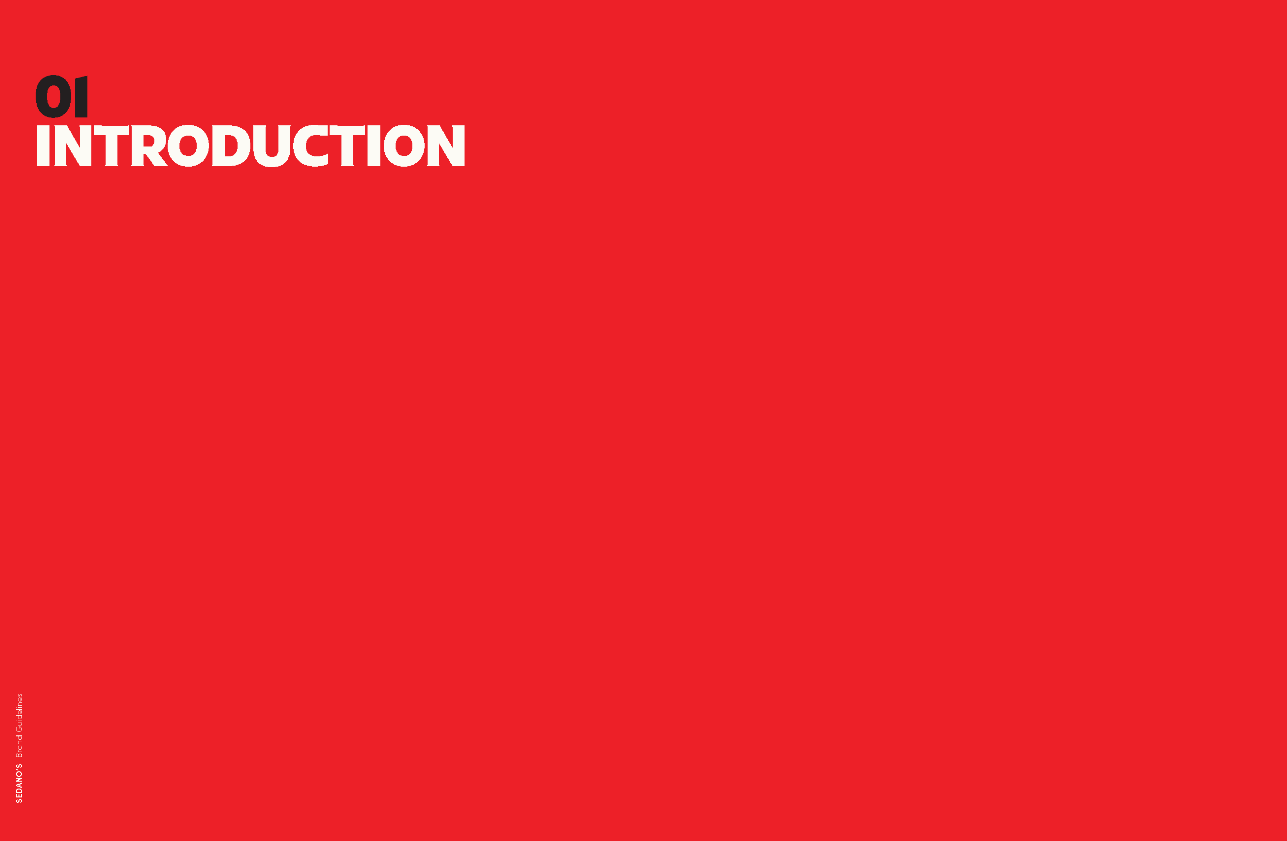SEDANOS_BRAND STYLE GUIDE_Page_05