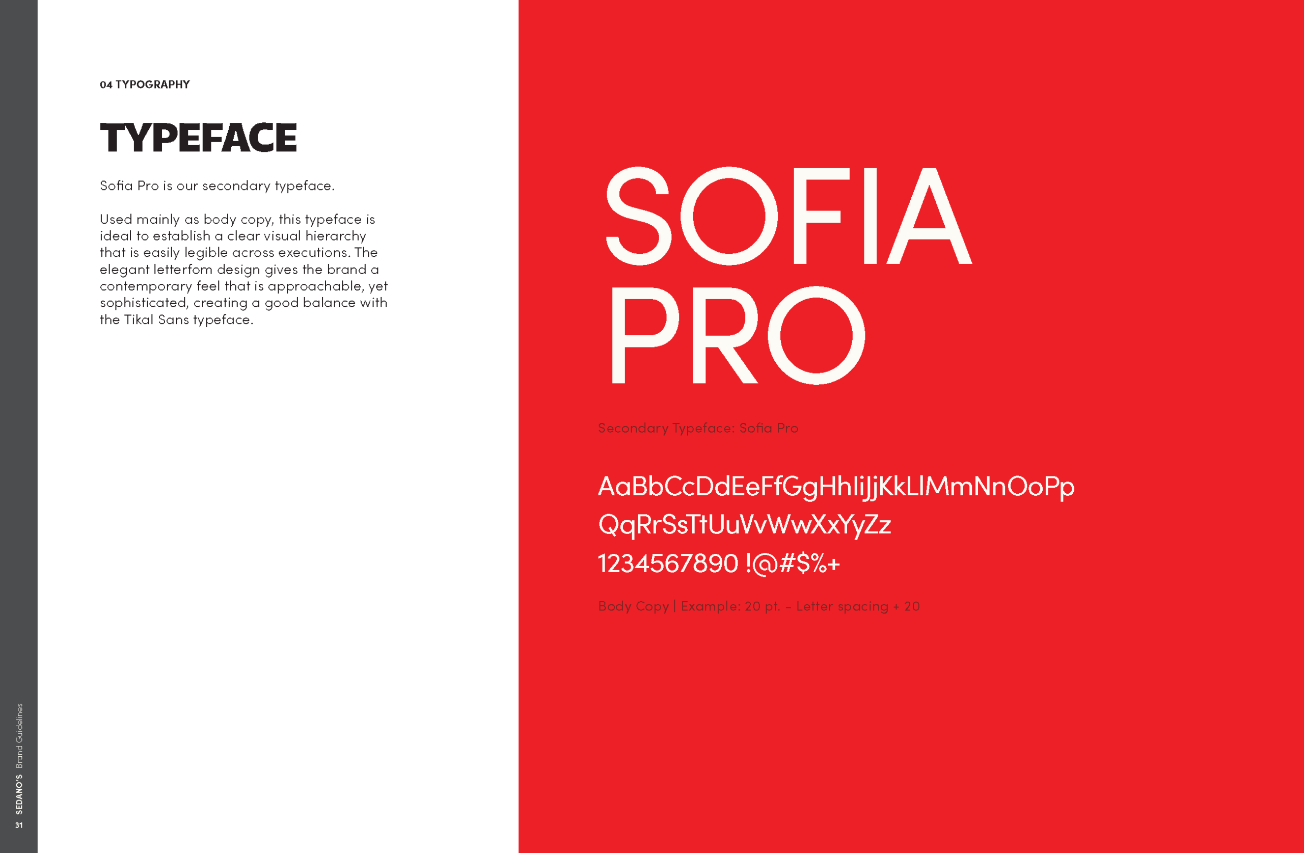 SEDANOS_BRAND STYLE GUIDE_Page_31