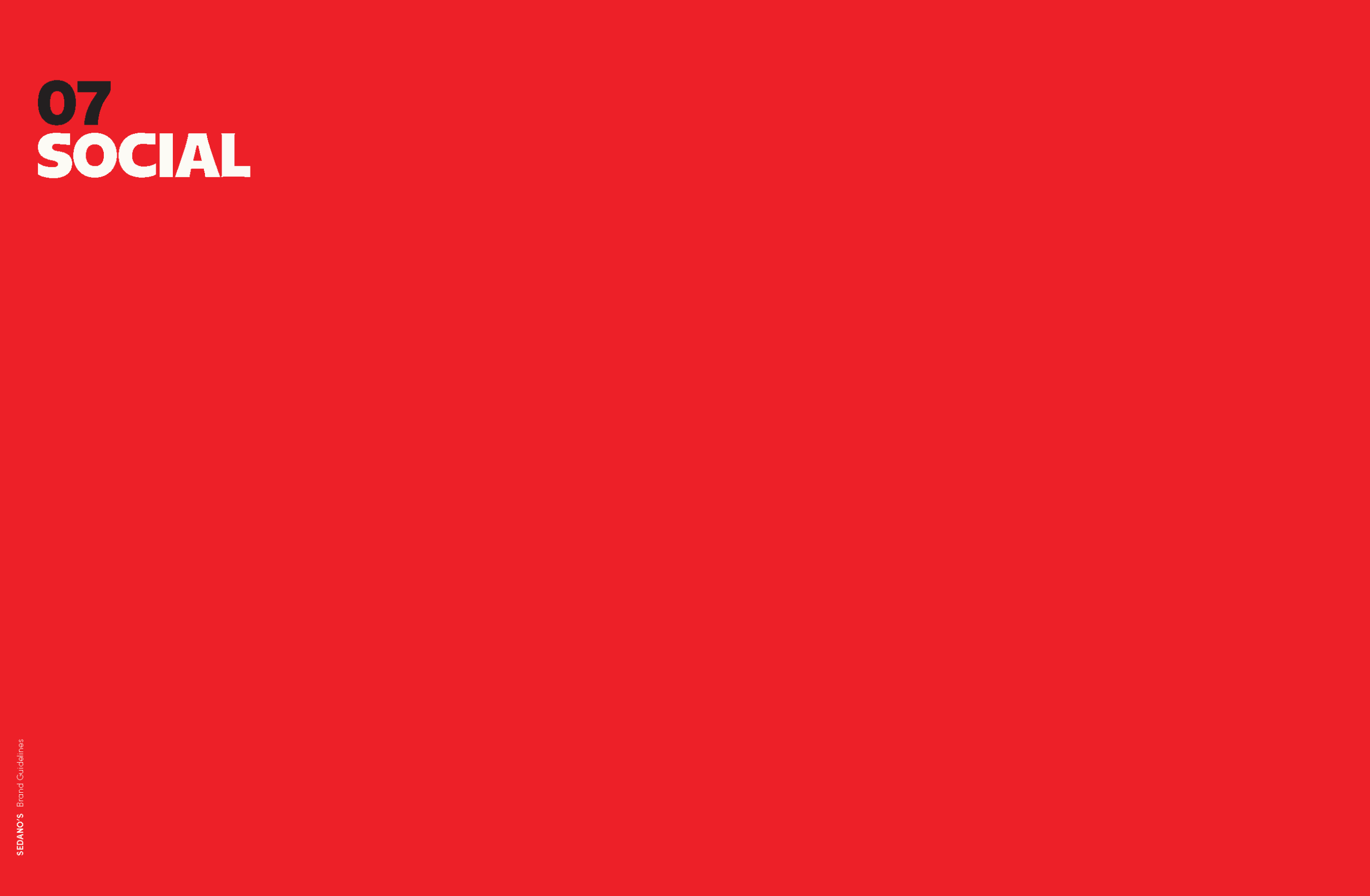 SEDANOS_BRAND STYLE GUIDE_Page_54